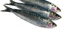 Las sardinas, alimento con calcio