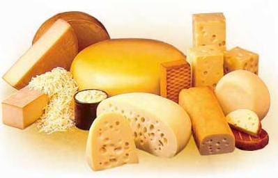 El queso es una fuente de calcio de origen animal derivado de la leche